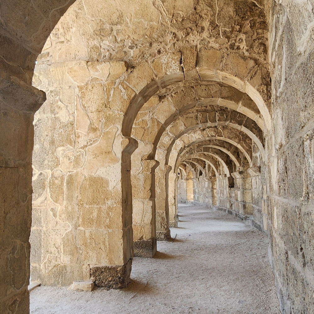 Meet your Posher, Dzeun